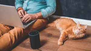 Feature Image - Expert keyword research
